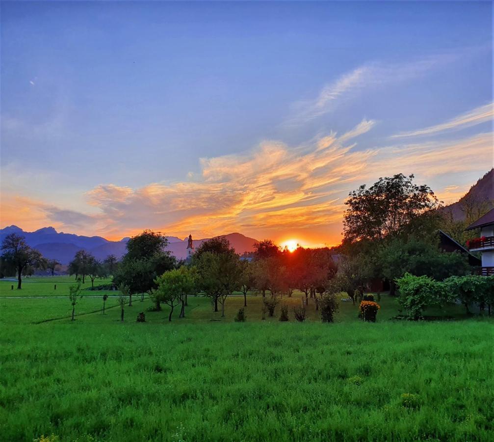 Honey Apartments Zirovnica ภายนอก รูปภาพ